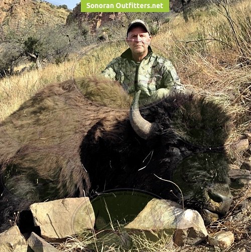 Buffalo hunting Sonoran Outfitters