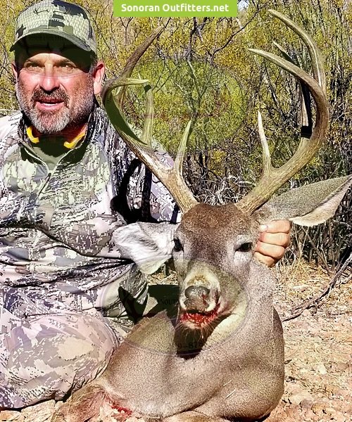 Coues Deer hunting Sonoran Outfitters