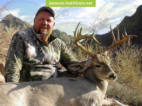 desert-coues-deer7 – Sonoran Outfitters