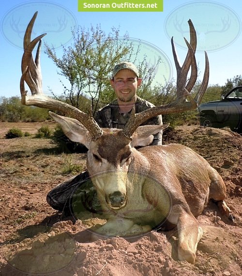 Bighorn sheep hunting Sonoran Outfitters
