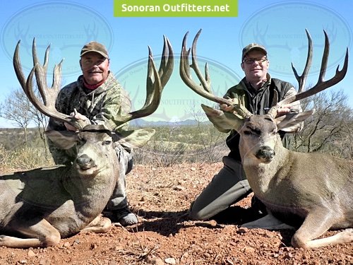 Sonoran Desert Mexico Guided Hunts