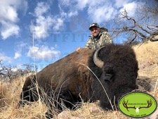Buffalo Bison Hunt Sonoran Outfitters
