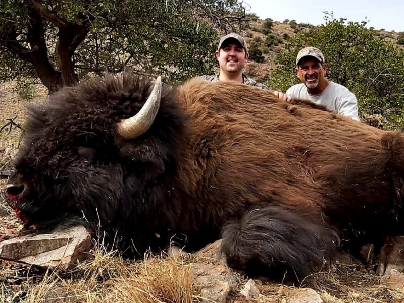 buffalo hunting trips